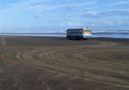 Tour bus zooming along 90-Mile Beach.  There are about a dozen of these per day, all driving  the beach near low tide