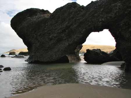 Rock archways, maze-like channels, and mermaid pools on the beach loop route