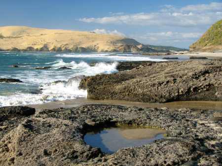 The mermaid-pool rocks on the route looping under Arai te Uru point, Hokianga dunes in view across the harbour channel