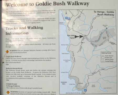 Goldie Bush map also showing Te Henga Walkway.