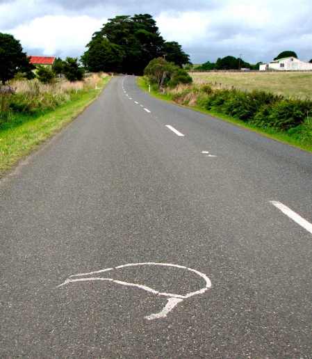 Roads heading to Trouson are painted with Kiwis