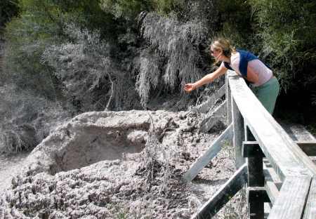 Leaning over the railing at Mud Pool to try to catch a flying glop of hotmud.