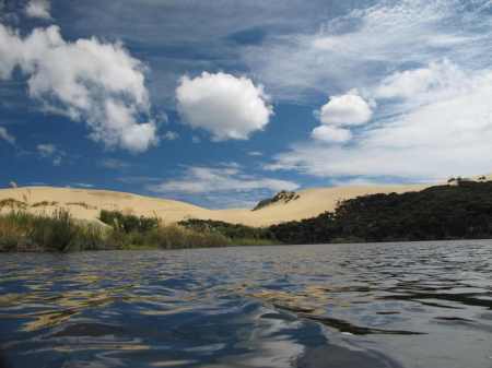 Swimming in the lake, looking back at the Te Paki dunes