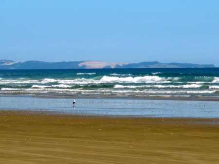 A view from 90-mile Beach over to the dunes of Ahipara