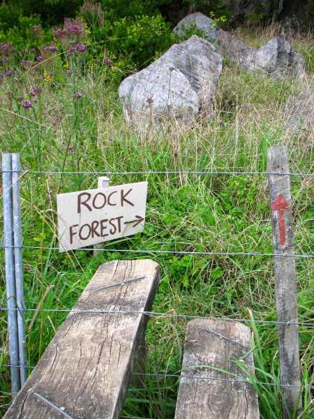Rock Forest helper-sign posted by the good folks at Little Earth Backpacker Lodge. Don't miss a peek at this forest!