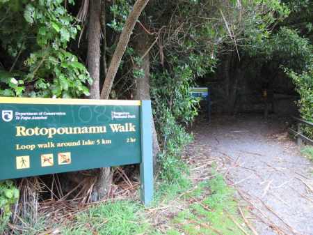 Signed entrance for the Lake Rotopounamu loop track.