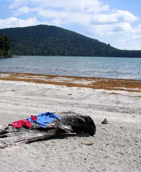 The far-side beach at Lake Rotopounamu
