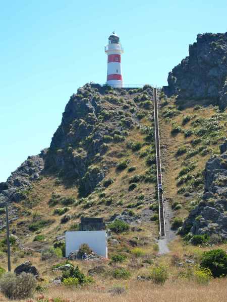 The steps up to Cape Palliser Lighthouse.