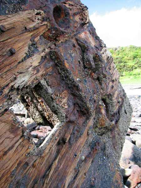 Wood planking on the Gairloch wreck, 2011 photo.